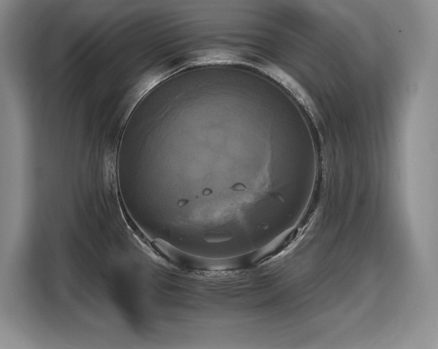 X0000110321337200905211518