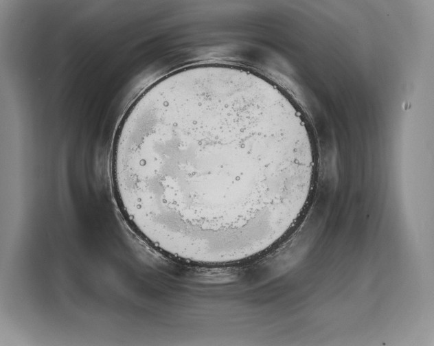 X0000110321338200905211518