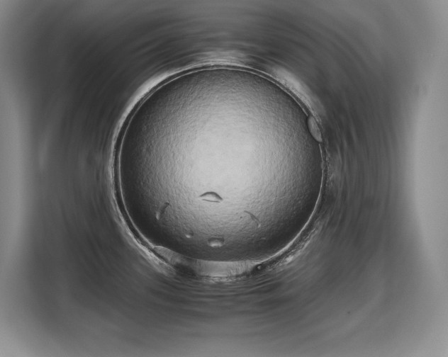 X0000110321339200905211518