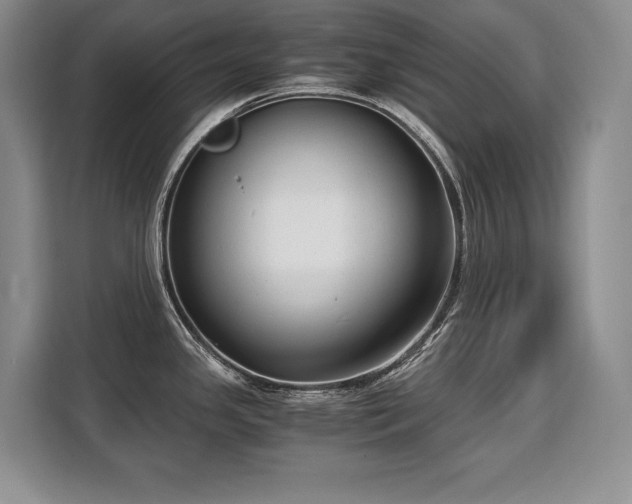 X0000110321341200905211518
