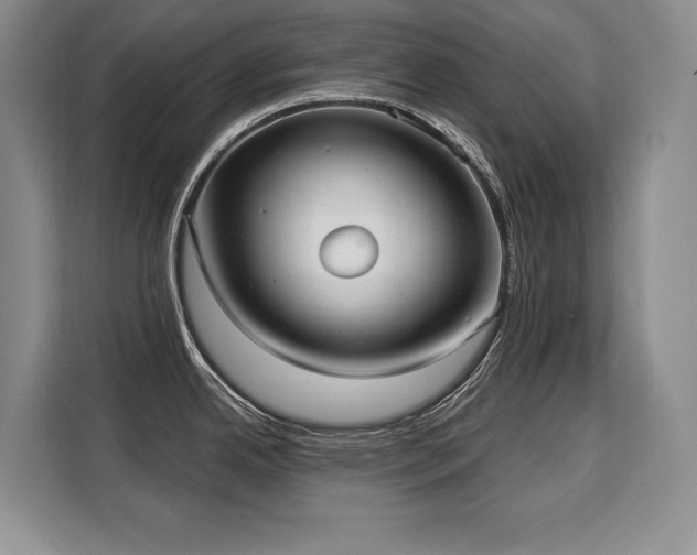 X0000110321342200905211518