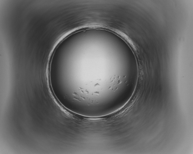 X0000110321343200905211518