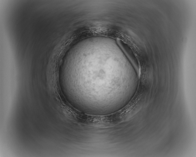 X0000110321345200905211518