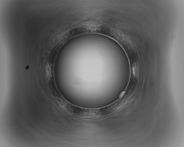 X0000110321347200905211518
