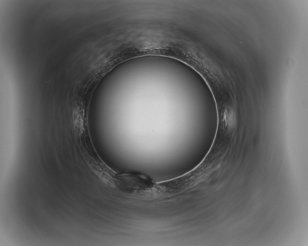 X0000110321348200905211518
