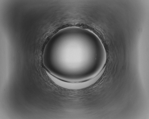 X0000110321349200905211518
