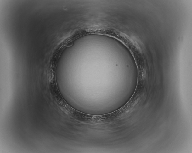 X0000110321350200905211518