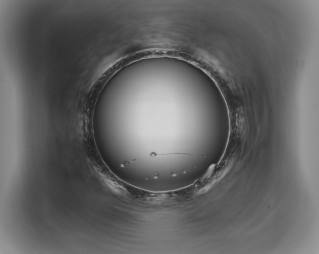 X0000110321352200905211518