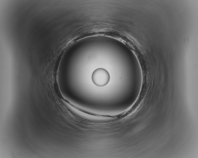 X0000110321353200905211518