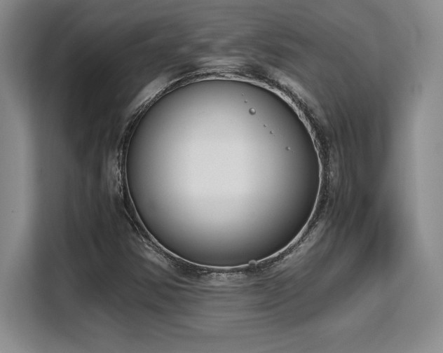 X0000110321354200905211518