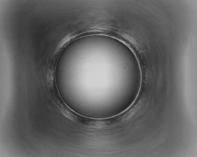 X0000110321355200905211518