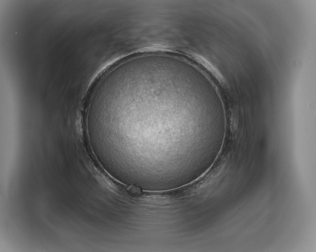 X0000110321356200905211518