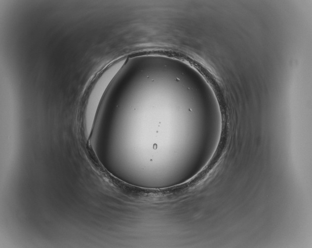 X0000110321357200905211518