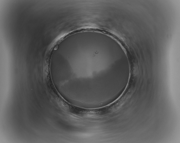X0000110321359200905211518