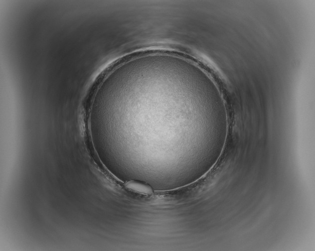 X0000110321360200905211518