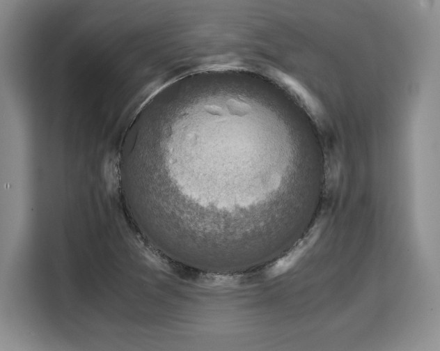 X0000110321361200905211518