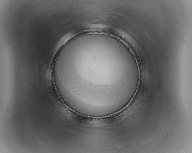X0000110321362200905211518