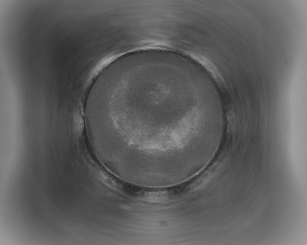 X0000110321363200905211518