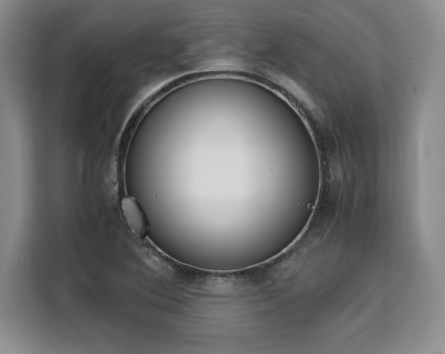 X0000110321364200905211518
