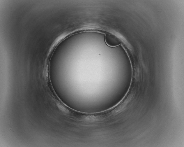 X0000110321366200905211518
