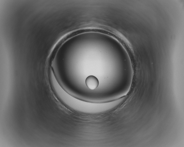 X0000110321368200905211518