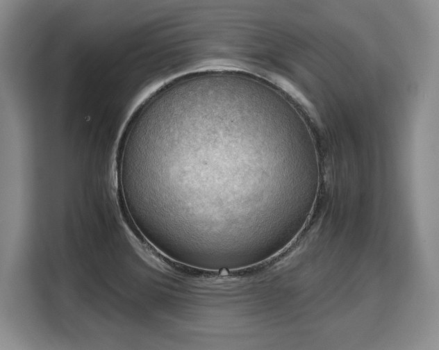 X0000110321372200905211517