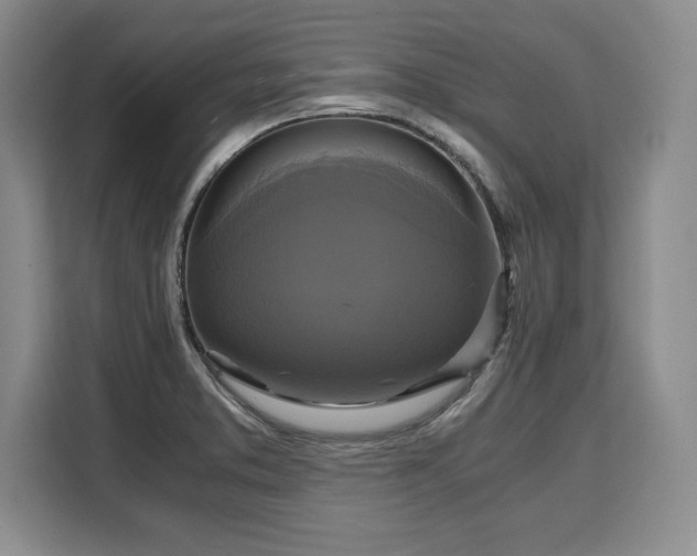 X0000110321373200905211517