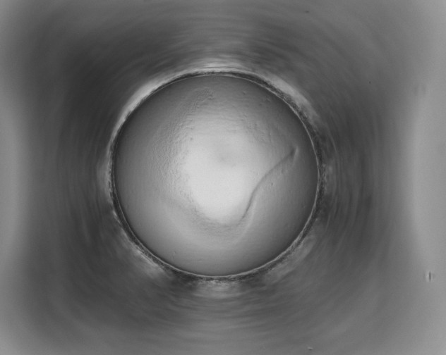 X0000110321374200905211517