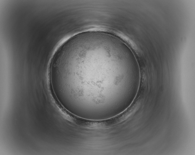 X0000110321375200905211517