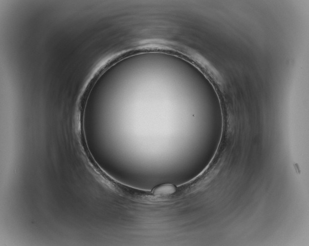 X0000110321376200905211517