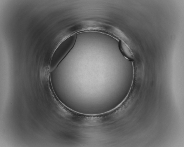 X0000110321377200905211517