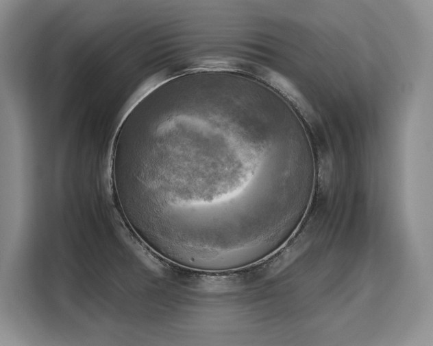 X0000110321378200905211517