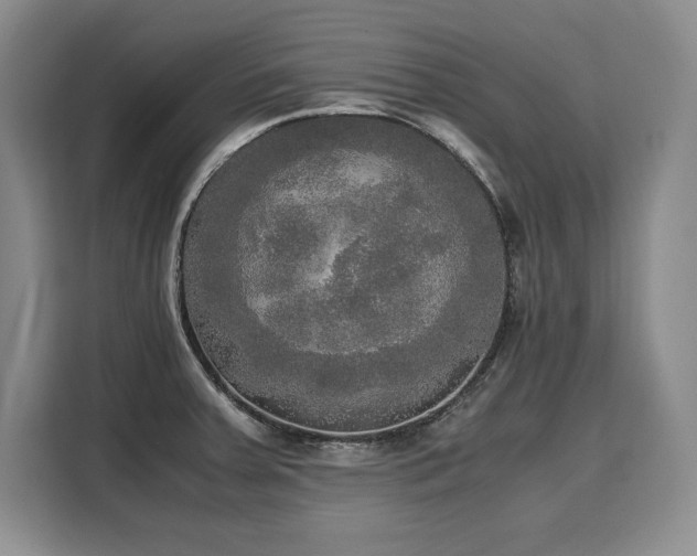 X0000110321379200905211517