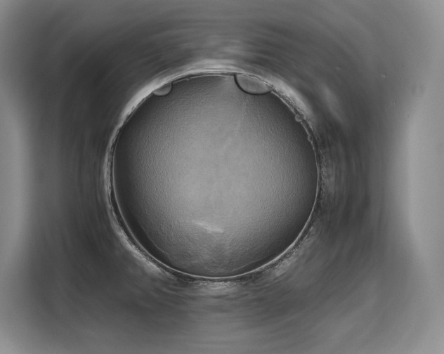X0000110321382200905211517