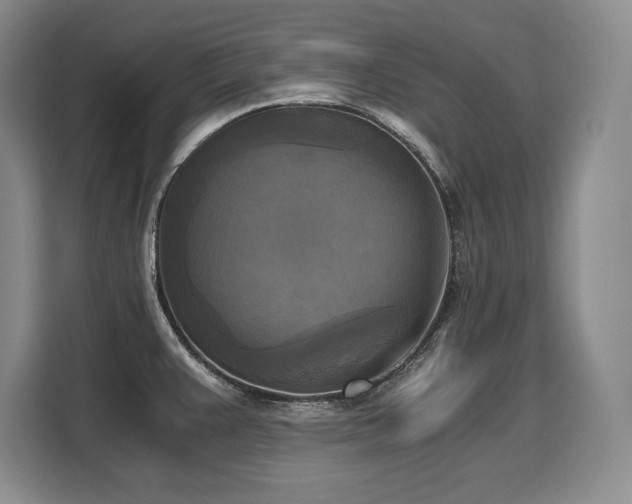 X0000110321383200905211517
