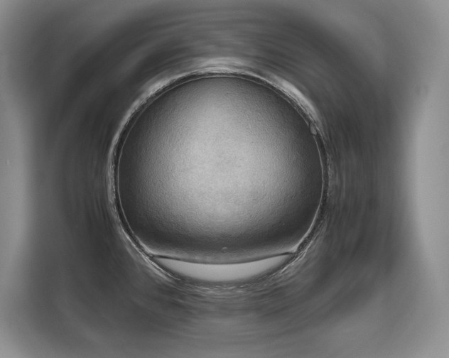 X0000110321384200905211517