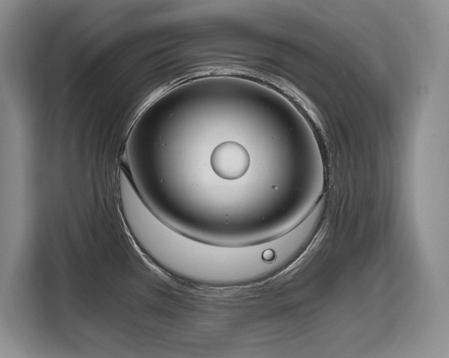 X0000110321385200905211517