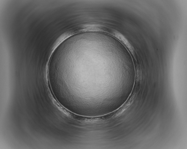 X0000110321386200905211517