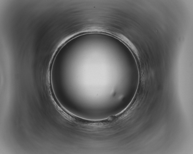 X0000110321388200905211517