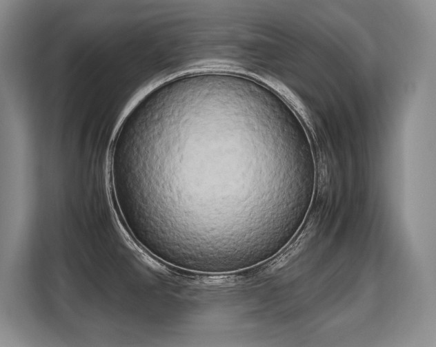 X0000110321390200905211517