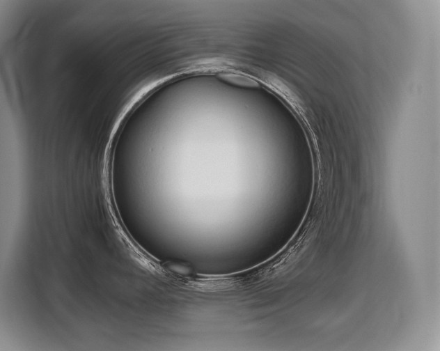 X0000110321392200905211517
