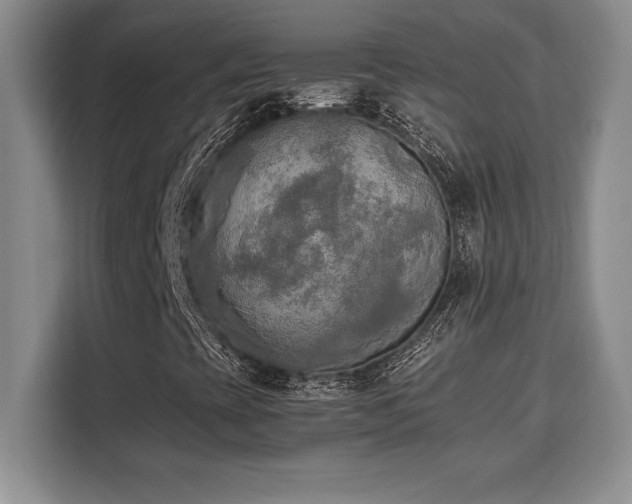 X0000110321393200905211517