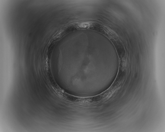 X0000110321394200905211517