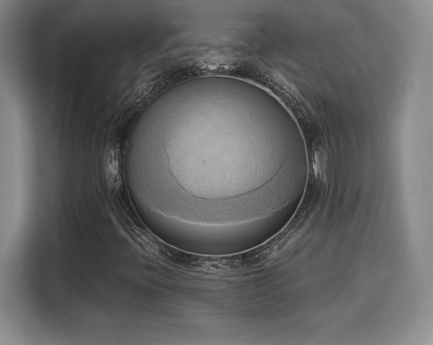 X0000110321396200905211517