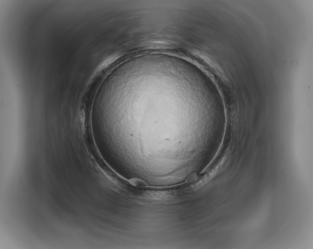 X0000110321402200905211517