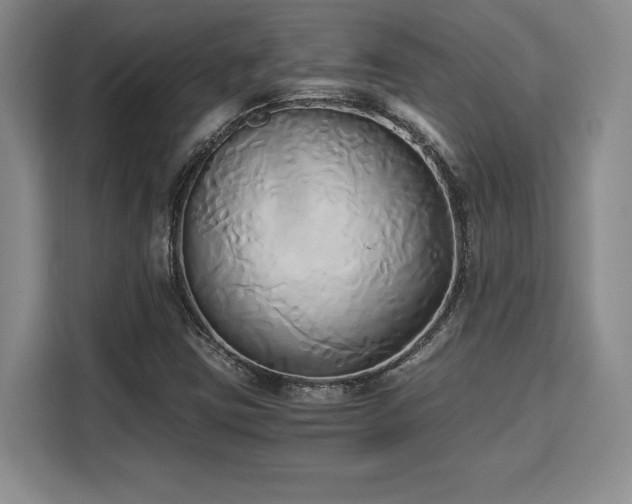 X0000110321403200905211517