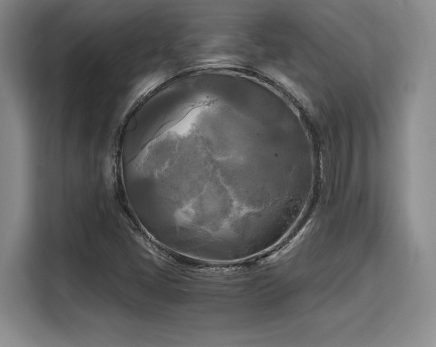X0000110321405200905211517