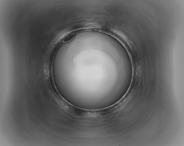 X0000110321407200905211517