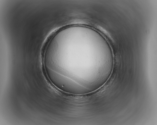 X0000110321408200905211517