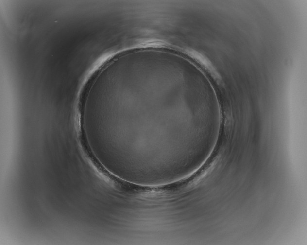 X0000110321414200905211517
